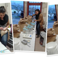 Distribution de légumes