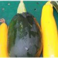 couleur courgettes