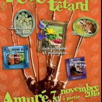 Screenshots_2015-10-27-20-58-54